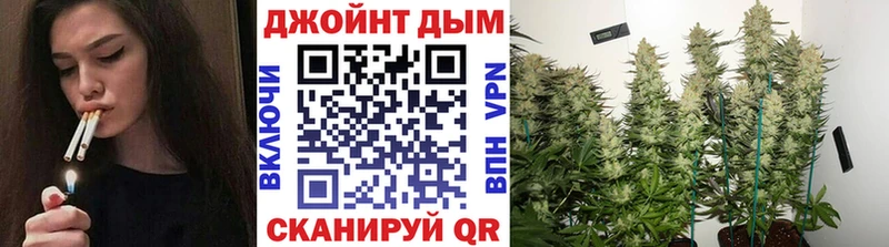 Бошки Шишки индика  Сретенск 